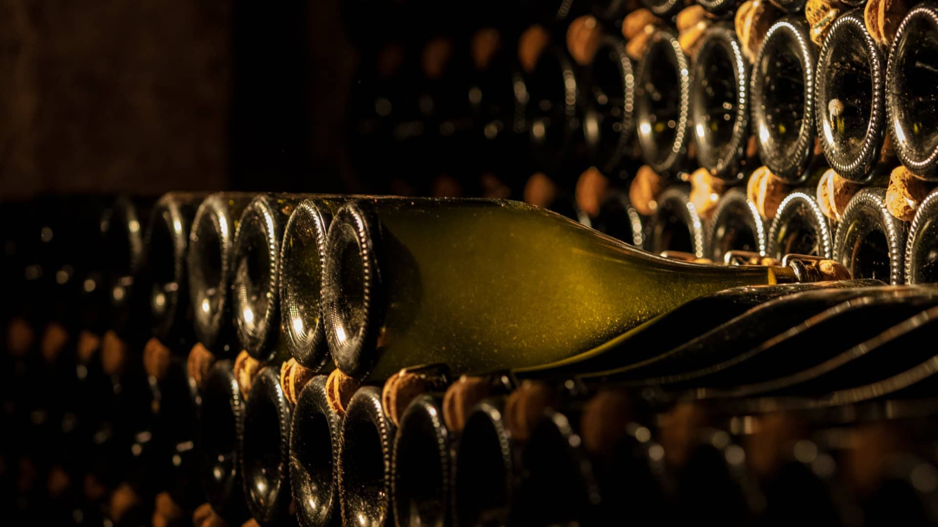 Bollicine - Vinolog24.com