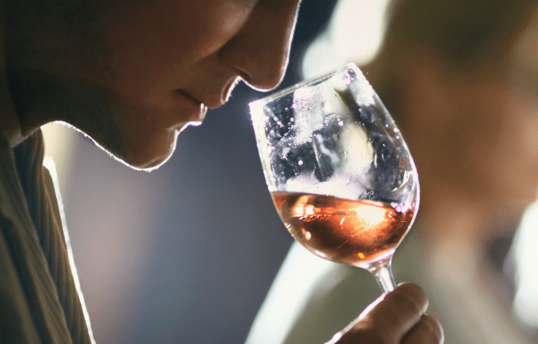 Classificazione e tipologie di vini: la guida completa per gli amanti del vino - Vinolog24.com