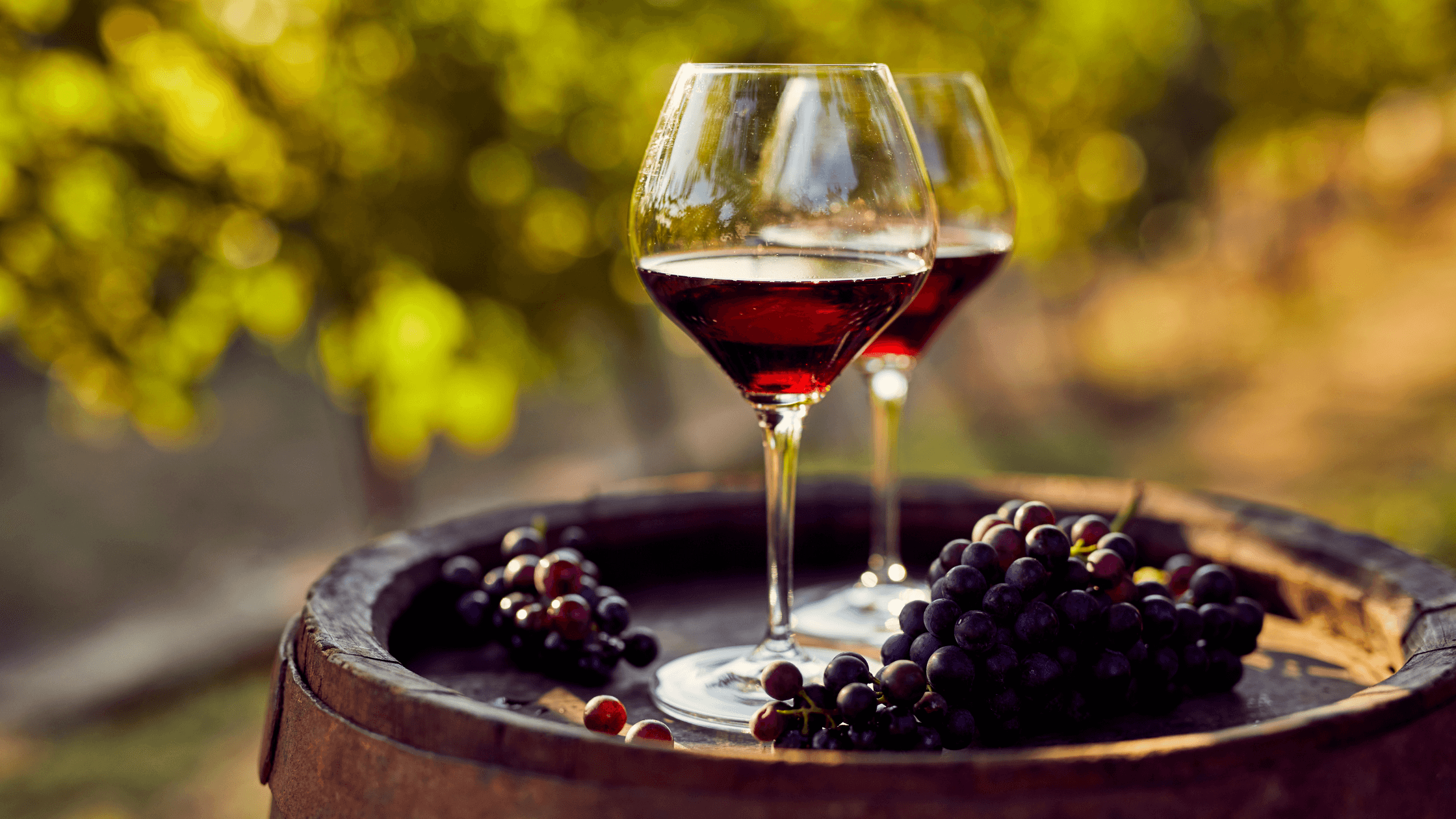 Come si fa a riconoscere un buon vino rosso? - Vinolog24.com