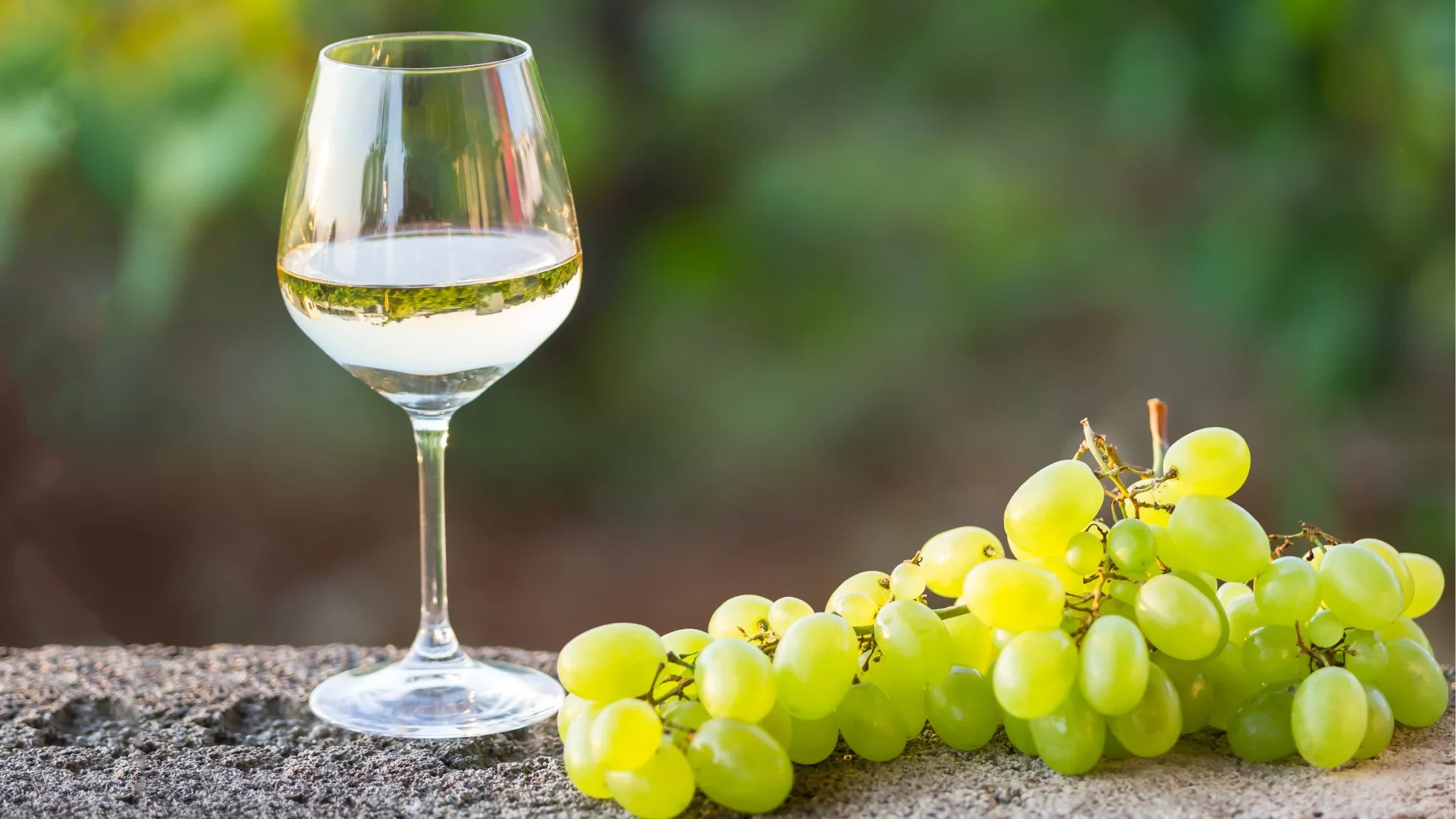 Differenze tra DOC, DOCG e IGT: guida completa alle denominazioni del vino italiano