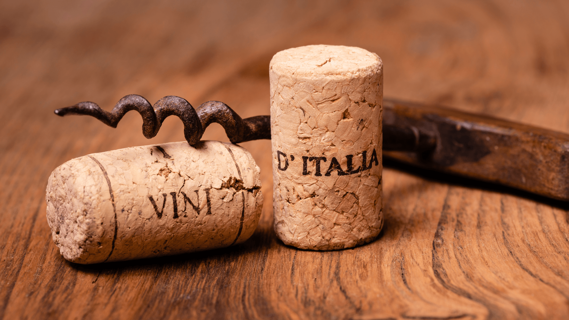 Perché il vino sa di tappo? Scopri le cause e come riconoscerlo - Vinolog24.com