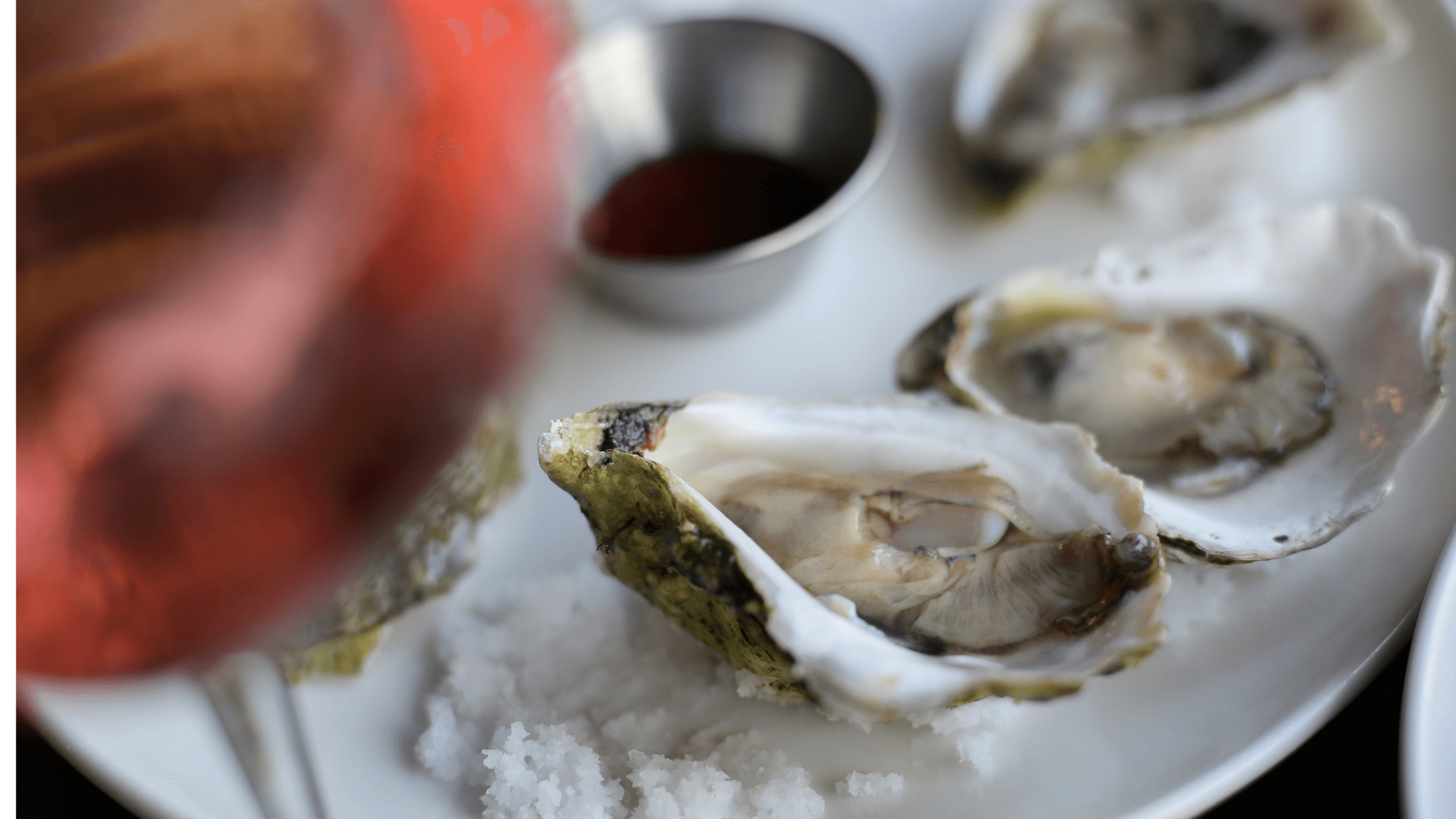 Quale vino bere con le ostriche? Guida ai migliori abbinamenti enogastronomici - Vinolog24.com