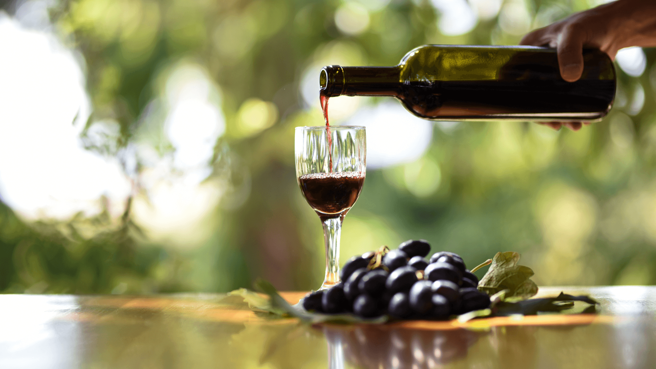 Vini Biologici: il futuro sostenibile del vino - Vinolog24.com