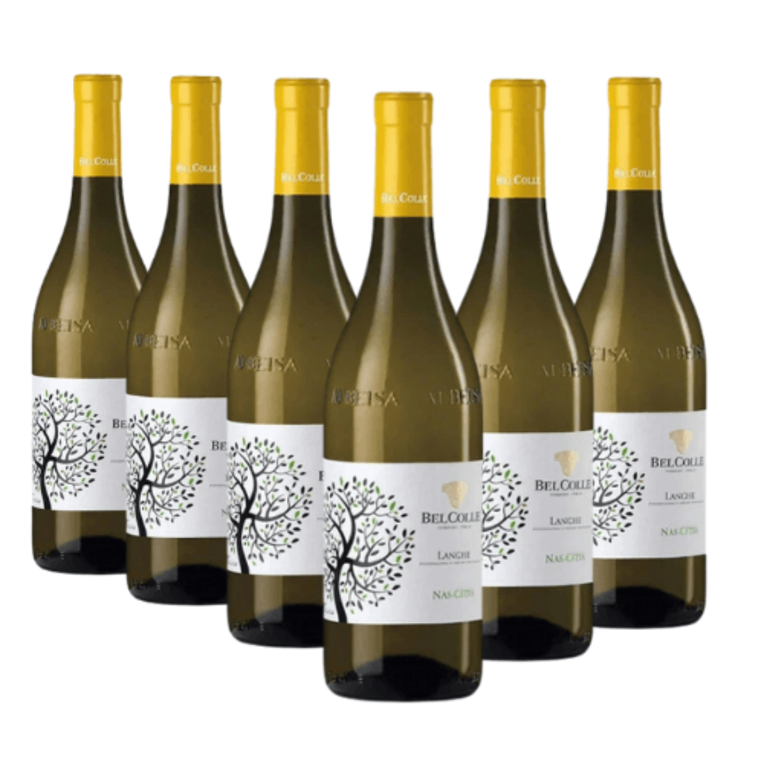 Nascetta 2023 Doc Langhe 6 bottiglie - Bel Colle - Vinolog24.com