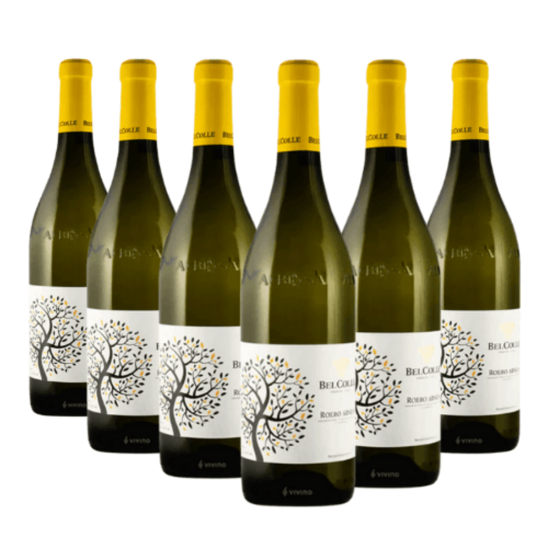 Roero Arneis 2023 Docg 6 bottiglie - Bel Colle - Vinolog24.com