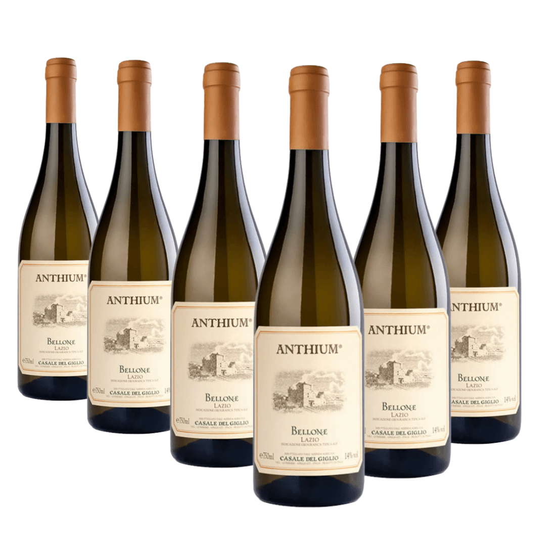 Anthium Bellone 2024 Lazio Igt 6 bottiglie - Casale del Giglio - Vinolog24.com