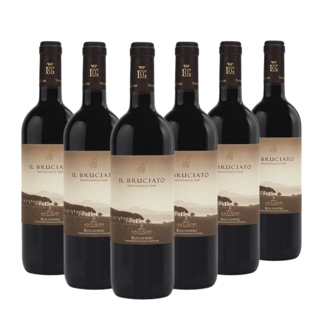 Il Bruciato 2023 Doc Tenuta Guado al Tasso 6 bottiglie - Antinori - Vinolog24.com