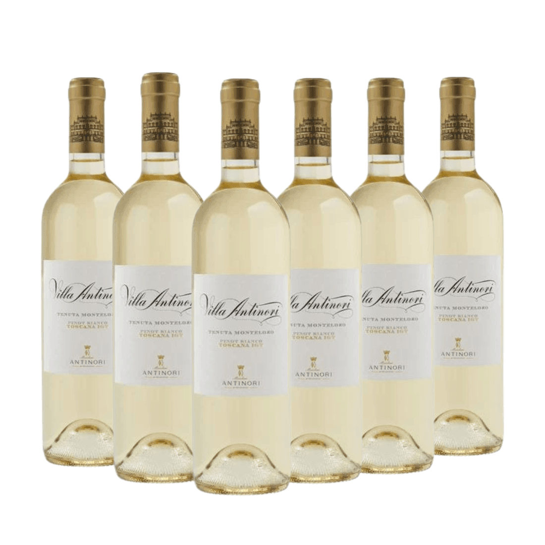 Villa Antinori 2022 Igt Pinot Bianco 6 bottiglie - Antinori - Vinolog24.com