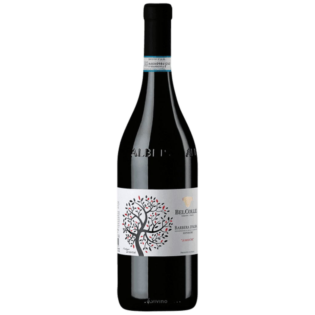 Barbera d'Alba Superiore 2021 Doc Le Masche 6 bottiglie - Bel Colle - Vinolog24.com