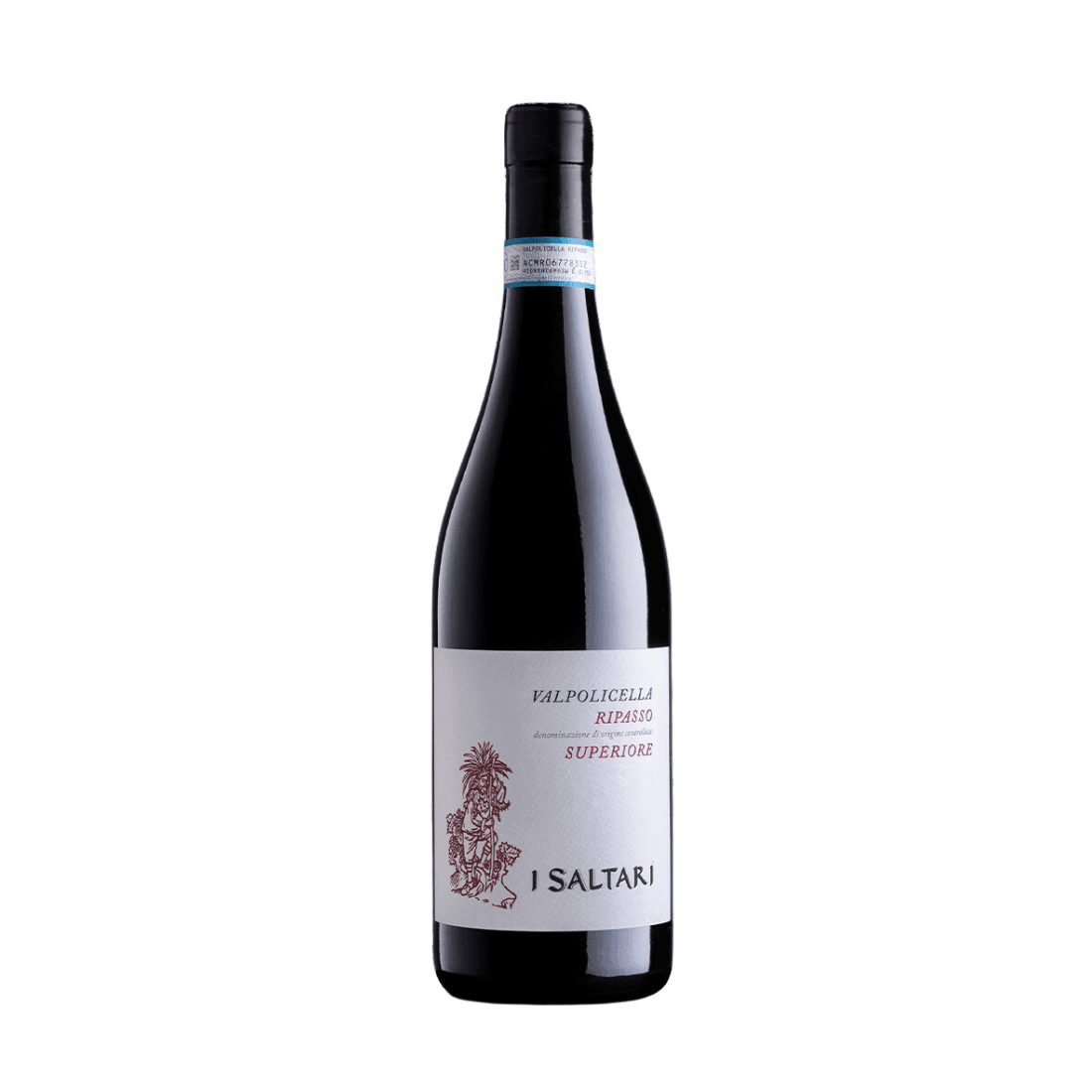Valpolicella Ripasso Superiore 2018 Doc - I Saltari - Vinolog24.com