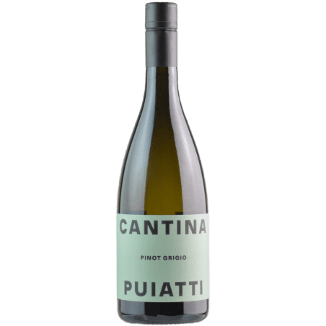 Pinot Grigio 2022 Doc Friuli - Puiatti - Vinolog24.com