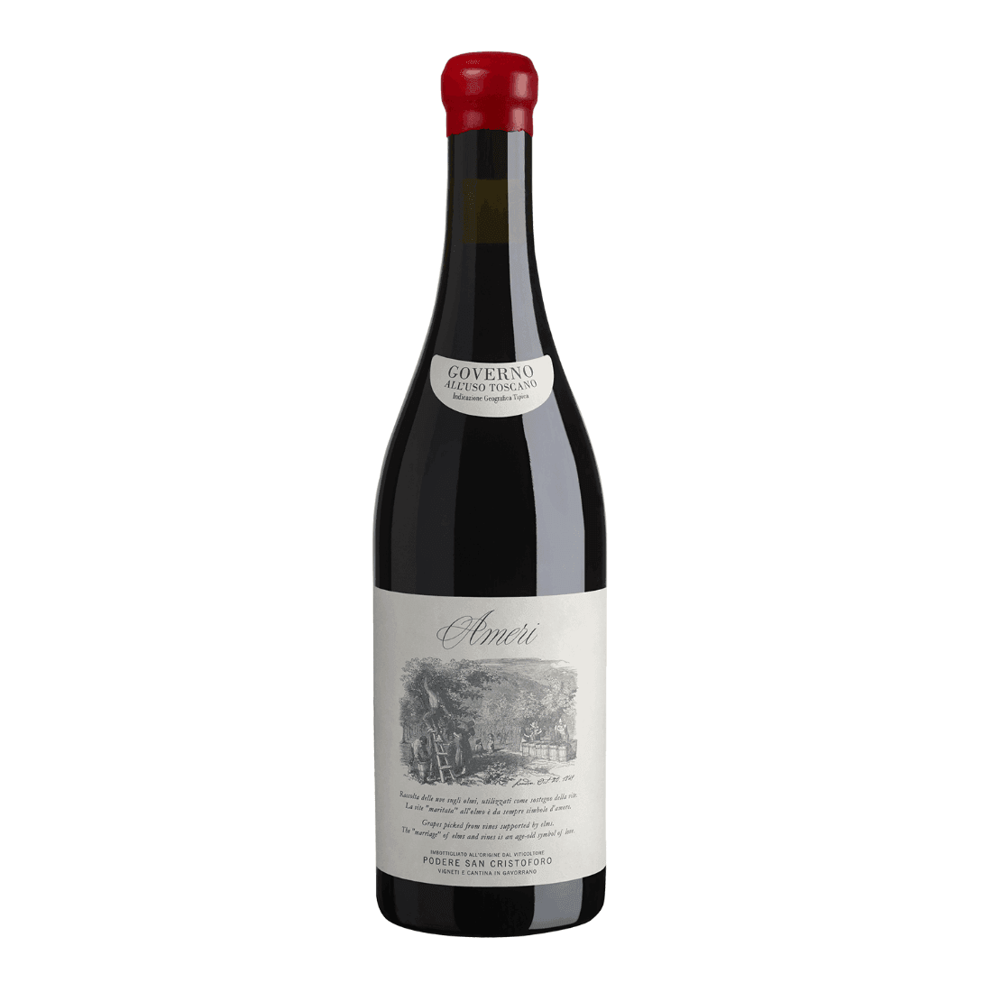 Ameri 2022 Igt Toscana Sangiovese - Podere San Cristoforo - Vinolog24.com